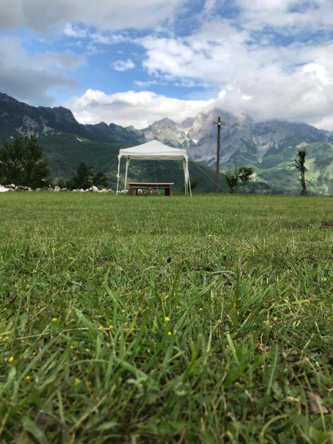 Guesthouse Freskia テス エクステリア 写真