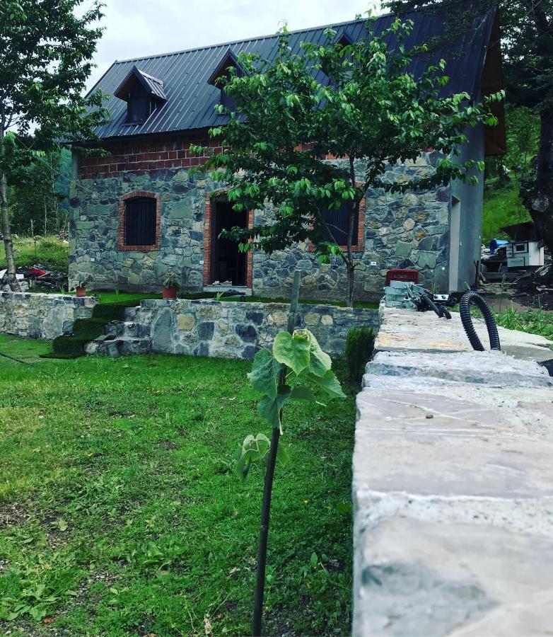 Guesthouse Freskia テス エクステリア 写真