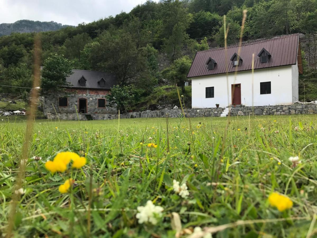 Guesthouse Freskia テス エクステリア 写真