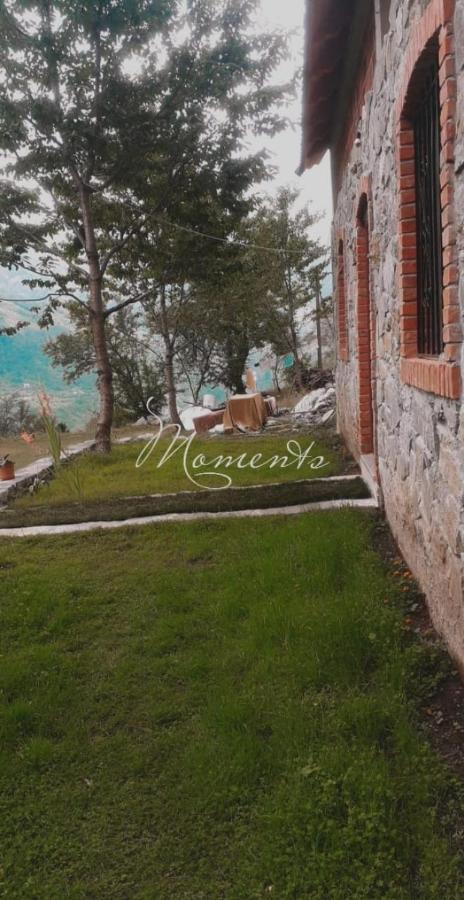 Guesthouse Freskia テス エクステリア 写真