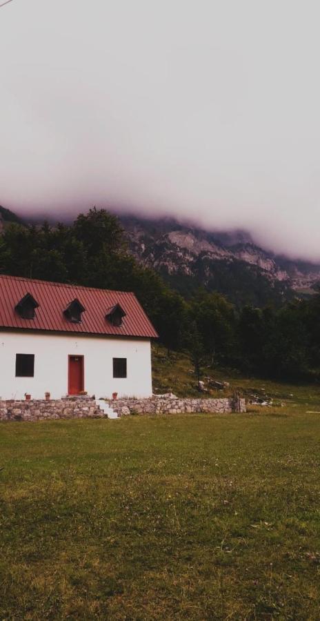 Guesthouse Freskia テス エクステリア 写真