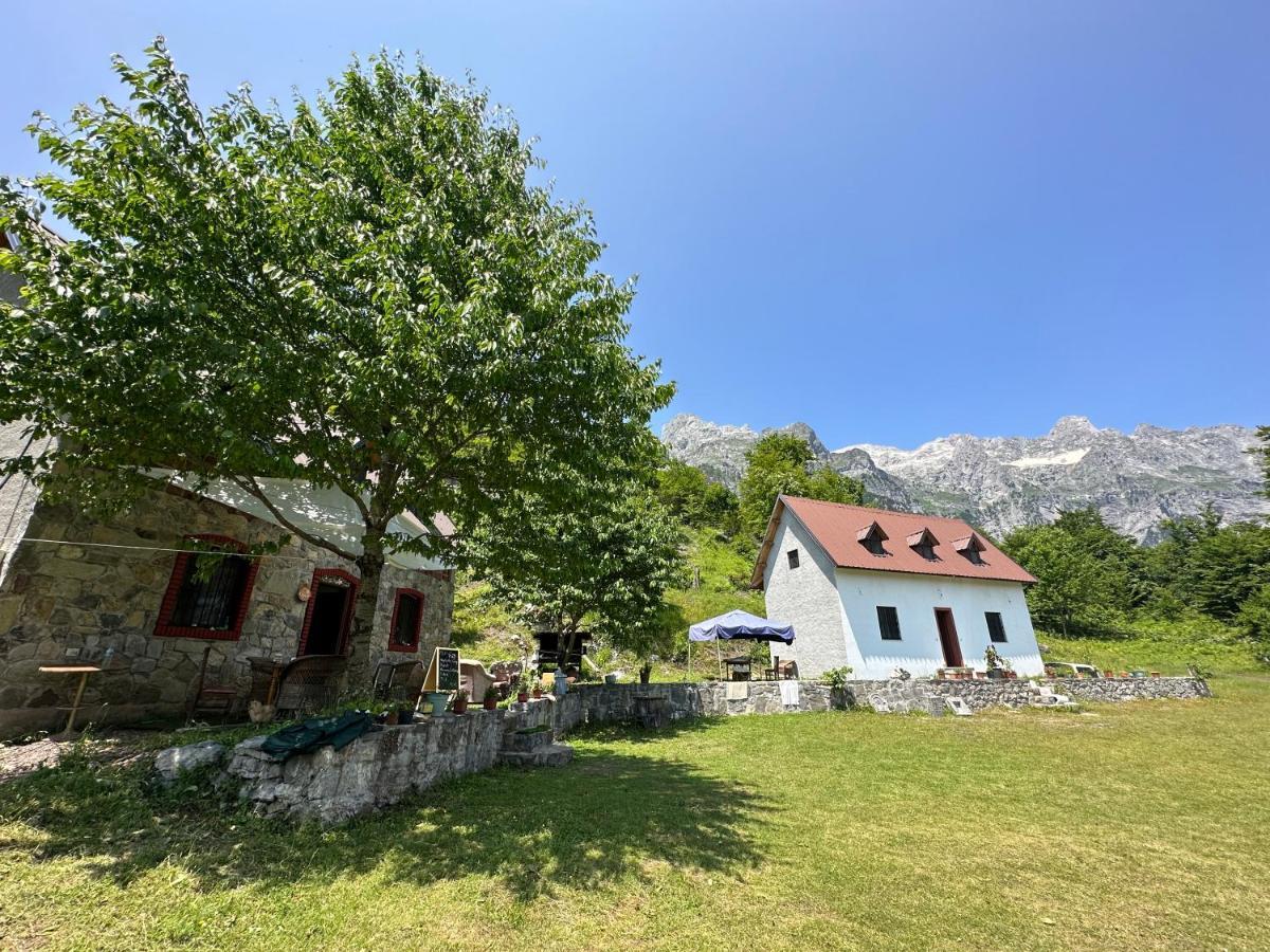 Guesthouse Freskia テス エクステリア 写真
