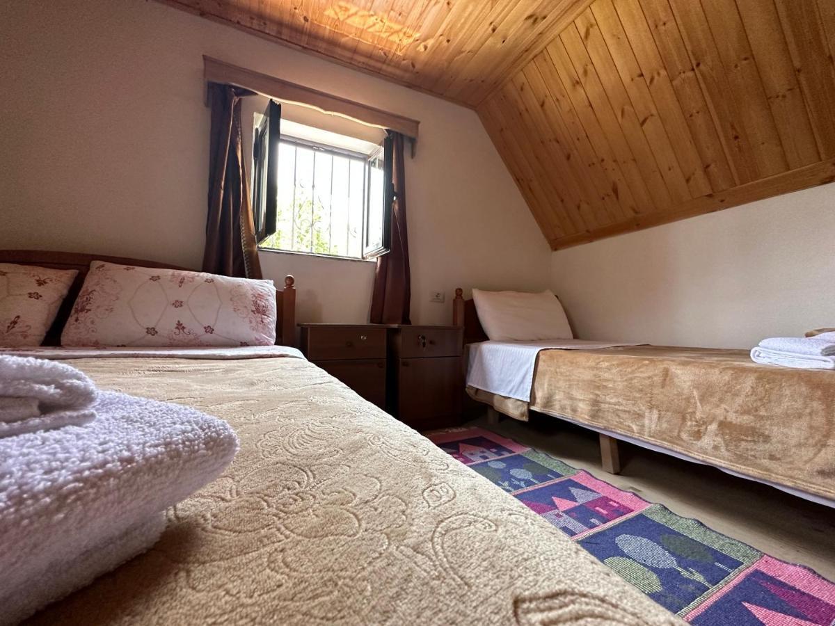 Guesthouse Freskia テス エクステリア 写真