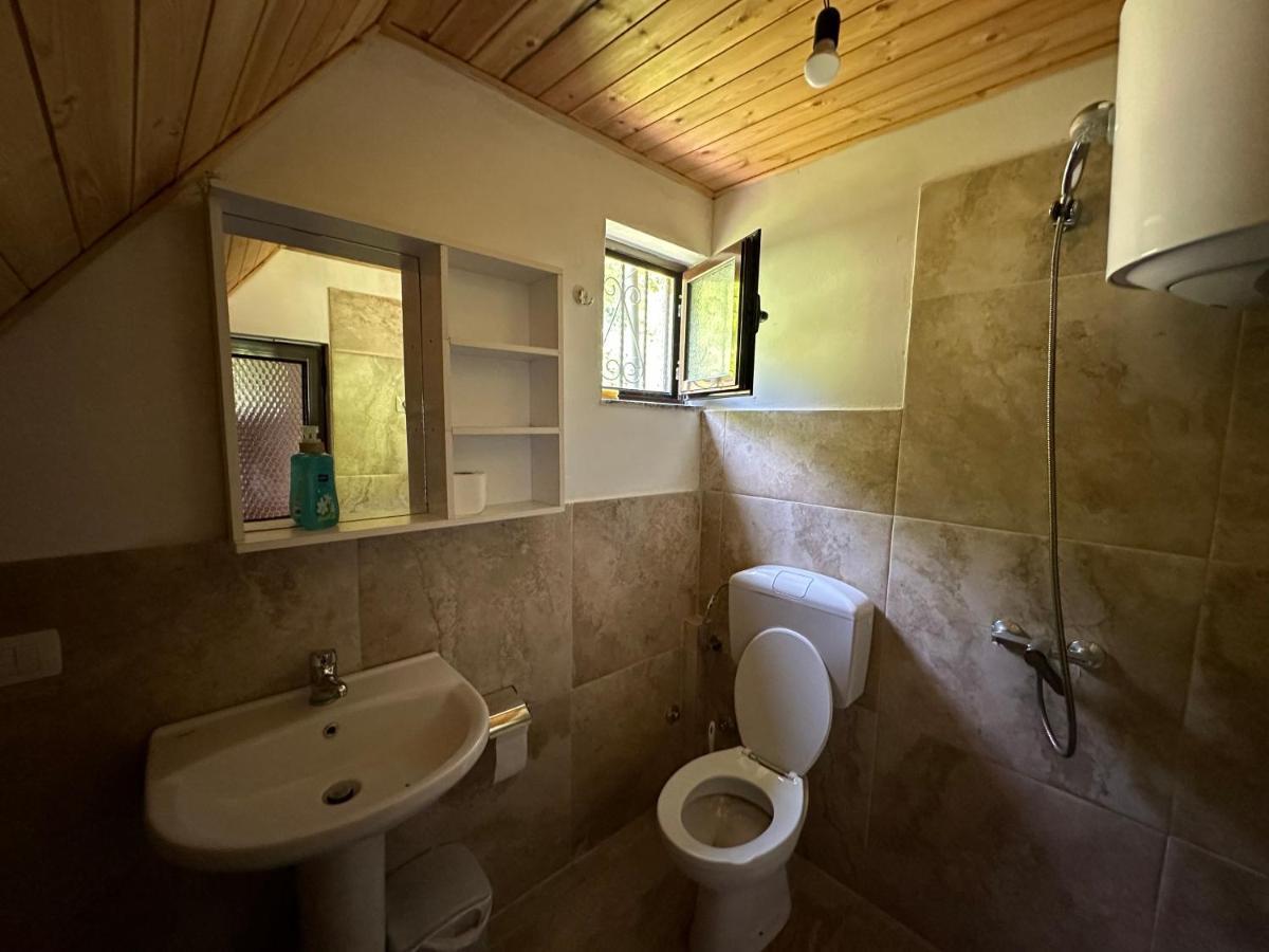 Guesthouse Freskia テス エクステリア 写真